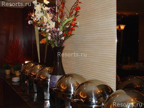 Hallmark Hotel 8